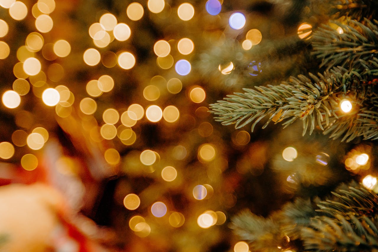 SEND Sensory Santa's Grotto Visit - 09:00